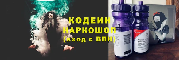 крисы Елабуга