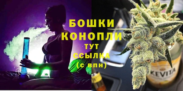 крисы Елабуга