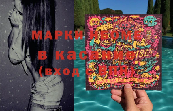 крисы Елабуга