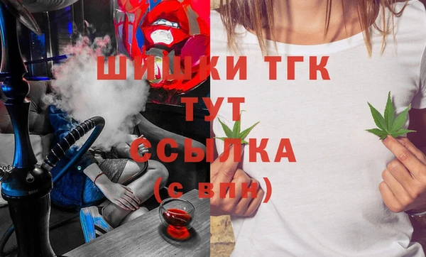 крисы Елабуга