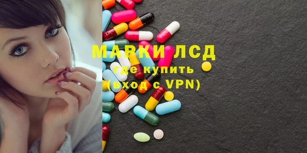 крисы Елабуга