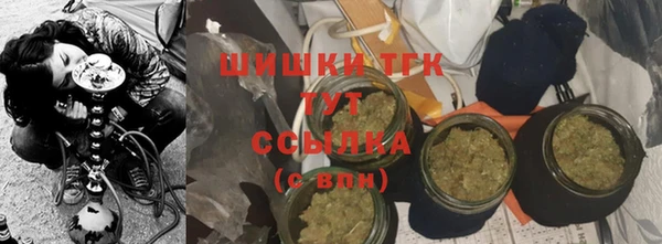 крисы Елабуга